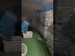 স্টেইনলেস স্টীল প্রেস ফিটিং